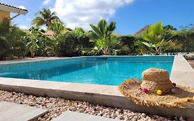 Dushi Arembos, 6 Persons, Private Pool, Comfortable Car, Tropical Garden Grote Berg